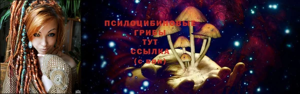 не бодяженный Белокуриха