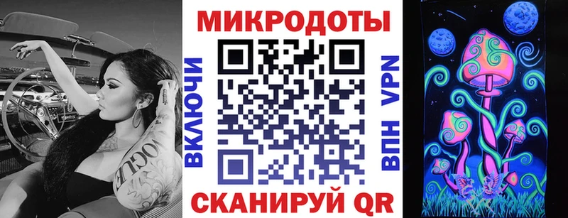 закладки Курганинск Псилоцибиновые грибы Psilocybe